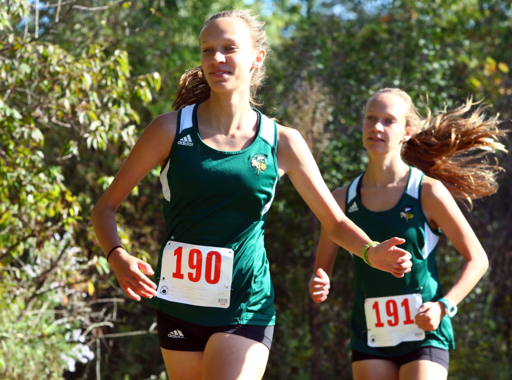 Gallery: Duneland Athletic Conference cross country meet
